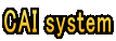 CAI system